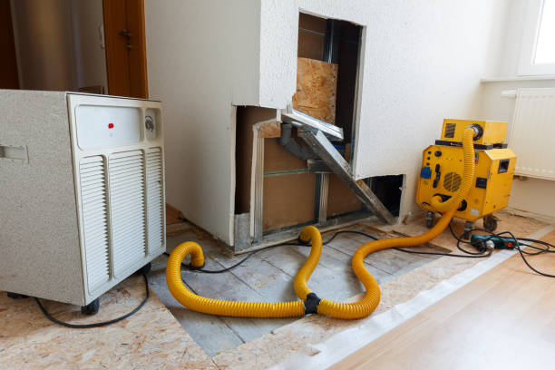 Best Commercial Mold Inspection  in St Marys, OH