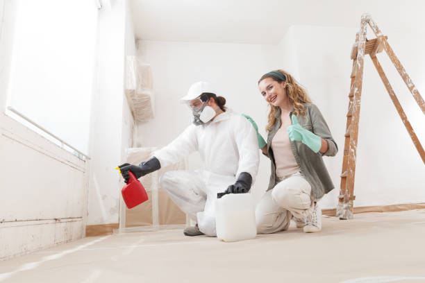 Best Water Damage & Mold Remediation  in St Marys, OH